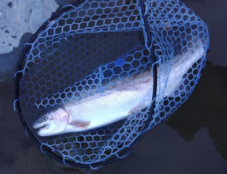 なかなか厳しい天竜川